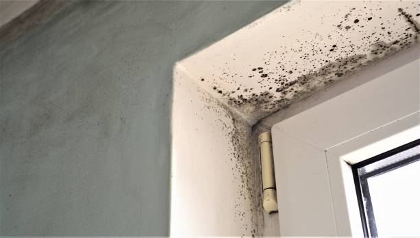 Best Residential Mold Inspection & Testing  in Utqiagvik, AK