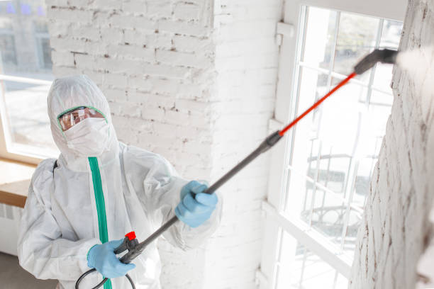 Best Industrial Mold Remediation  in Utqiagvik, AK