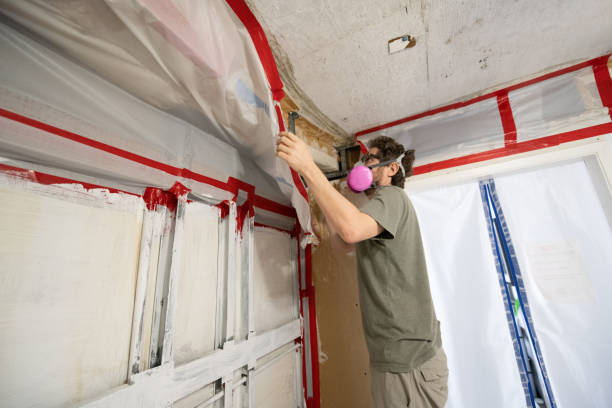 Best Attic Mold Removal  in Utqiagvik, AK