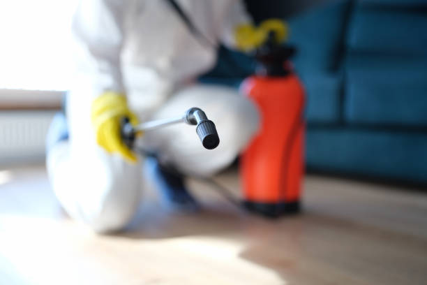 Best Real Estate Mold Inspection  in Utqiagvik, AK
