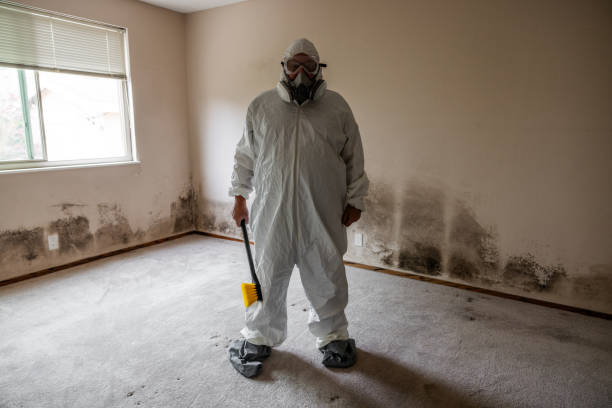 Best Mold Damage Restoration  in Utqiagvik, AK