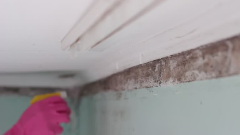 Best Mold Remediation for Healthcare Facilities  in Utqiagvik, AK