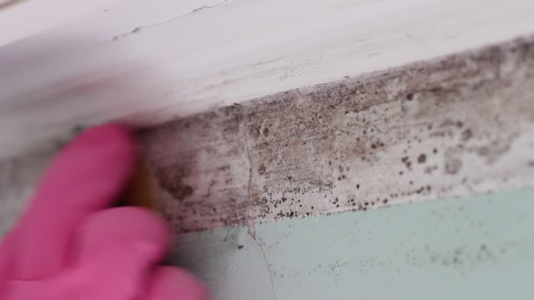Best Air Quality Testing for Mold Spores  in Utqiagvik, AK